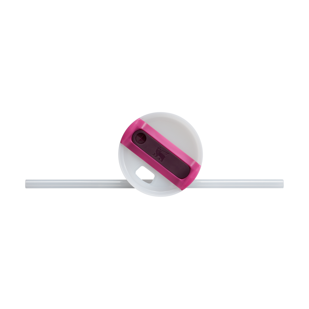 The Quencher H2.0 Flowstate™ Tumbler