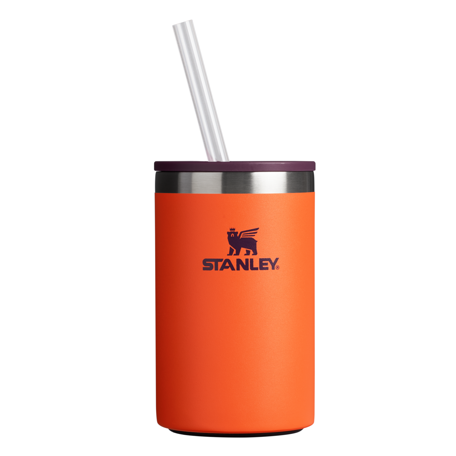 The Everyday Can Cooler Cup